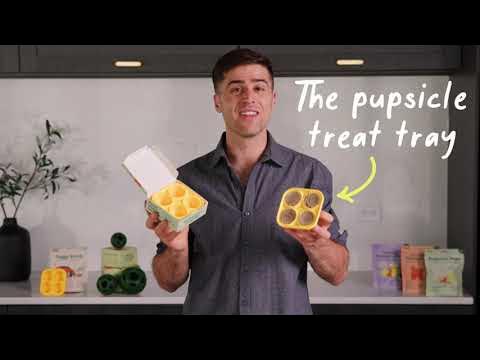 Woof Pupsicle Treat Mold for Dogs  Treats, Favorite recipes, Pupsicle