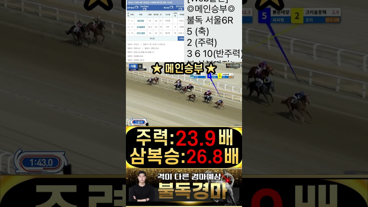 불독의 서울경마 메인승부 전승식 올킬로 주력 한방으로 끝냅니다 경마는 불독 입니다