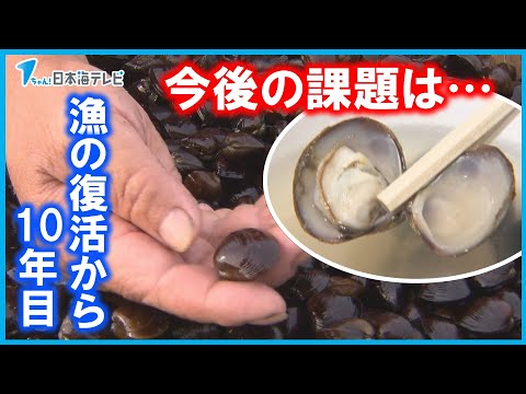 【10年前の夢】安定した漁獲量となった湖山池のシジミ漁　今後は鳥取県の特産品へ…