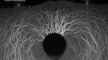 Pull-out experiment in granular material