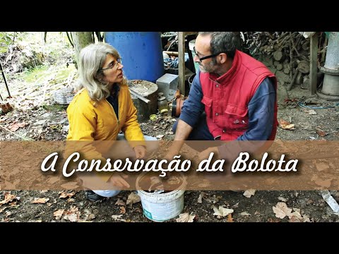 Conservação da Bolota - Com César Lema Costas (Pt.1)