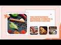 Food Vlog: The difference between Chinese &amp; Western Cuisine #china #chinalife #food #westernfood