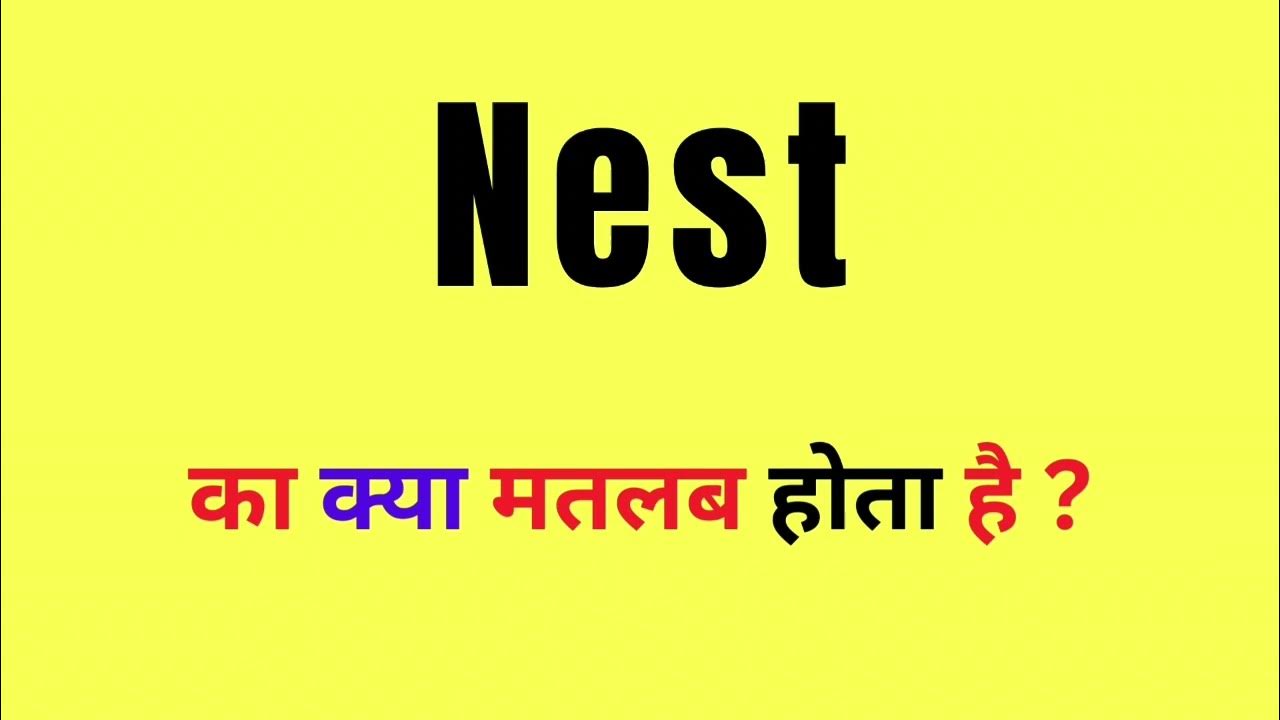 Nest Meaning In Hindi Nest Ka Hindi Meaning Nest Ka Matlab Kya Hota nest-meaning-in-hindi-nest-ka-hindi-meaning-nest-ka-matlab-kya-hota