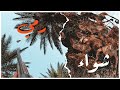 الصيد والشواء في البريه رمي طبن رمي المليحي الصيد والشواء في البريه رمي طبن رمي المليحي