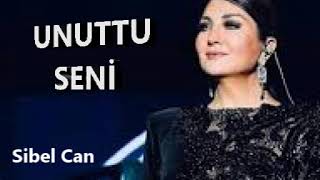 Sibel Can - Unuttu Seni Resimi