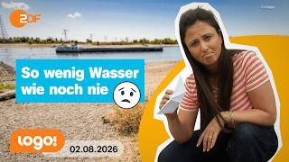 Diese Folgen hat das Niedrigwasser am Rhein für die Natur | logo!-Nachrichten vom 02.08.26