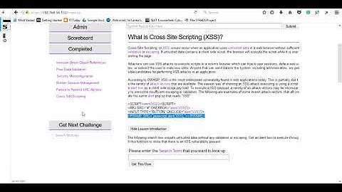 OWASP Security Shepherd - Cross Site Scripting One