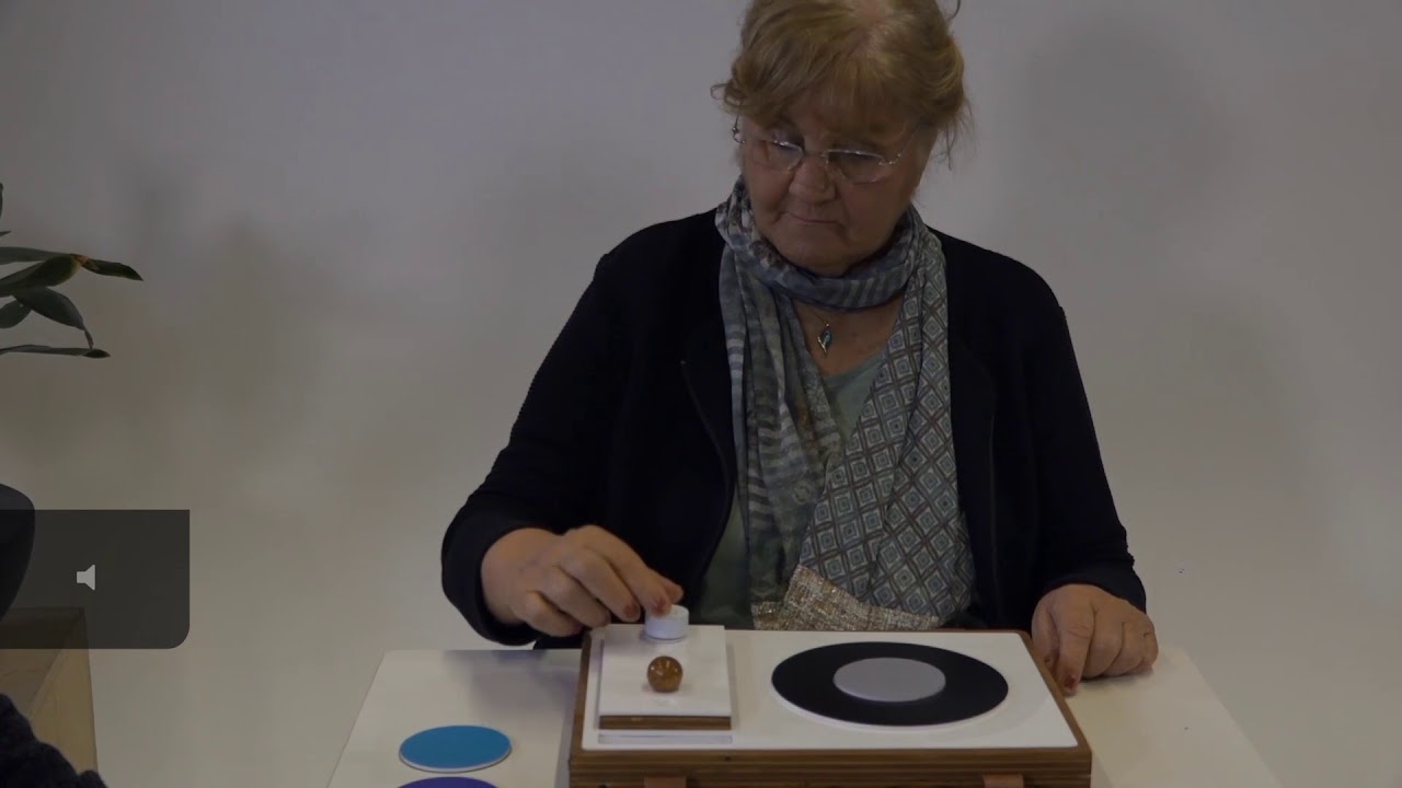 Sentic Screen Sentic: A Tailored Interface Design for People with Dementia to Access ...