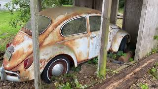 VW Beetle Barn Find  Sitting over 25 Years!