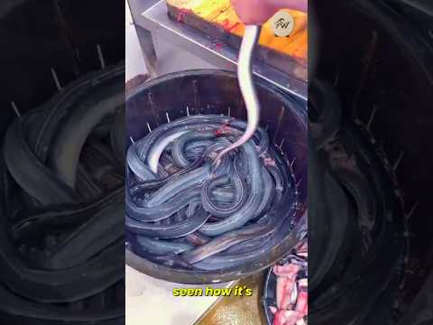Unagi Kabayaki Mastery : Insane Japanese Knife Skills! 🇯🇵 #eel #unagi #shorts