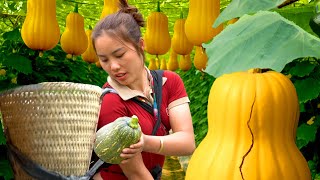 Ibu Muda 21 Tahun: Memanen Labu Raksasa Bersama Anak-Anak untuk Dijual & Resep Memasak