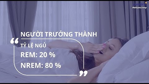 Người lớn ngủ bao nhiêu tiếng là đủ năm 2024