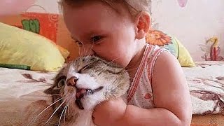 Cutest baby and cats moments