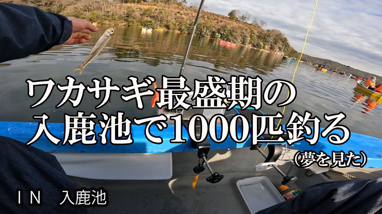2023年真冬　シーズン最盛期の極寒入鹿池にてワカサギ釣りにチャレンジ 　今回は、夢のお告げ通り1000匹釣れるのか・・・　 ワカサギ　入鹿池　ボート釣り　船釣　舟釣