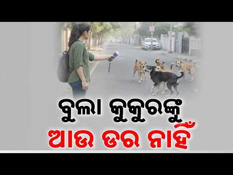 Dog Attack Protection: Electric Shock Safety Tool For Self-Defense From Stray Dogs | Argus News