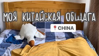 МОЯ ОБЩАГА В КИТАЕ 🪴🤍 //  будни студентки в китае