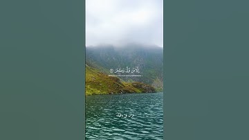 قران كريم ارح قلبك وسمعك #قران_في_دقيقة #عبدالرحمن_مسعد #quran @قران_في_دقيقة