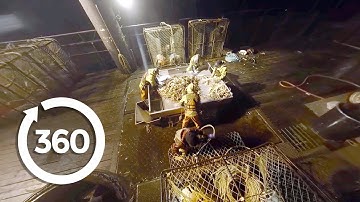 Experience Life as a Crab (360 Video)