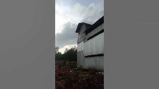 sp tarik bayangan revisi VS tarik senja mengamuk terima kasih guru andi sufar