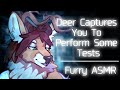 Furry asmr deer captures you to run some tests