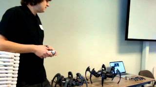 Hexapod
