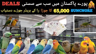 PURA PAKISTAN MA SAB SA SASTA BIRDS | DEAL#4 | SUNCNORE 65000 KA PAIR |BIRDS FARMING | 17-11-2023.