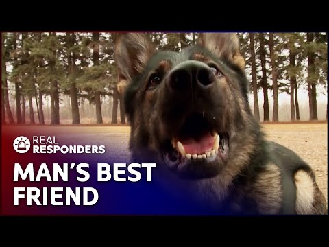 K9 MOUNTIES