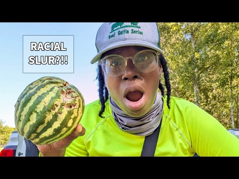 They Craved The N-Word in a Watermelon?!!!