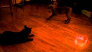 SANY0166.AVI