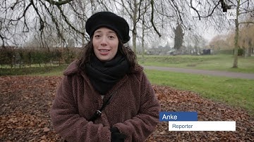 Ga op ontdekking in parkbegraafplaats het Schoonselhof met wandeling 