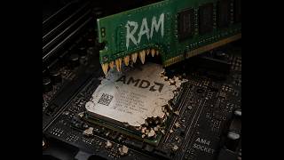 SYNOLOGY'S AMD PROBLEM SHE'S A RAM EATER
