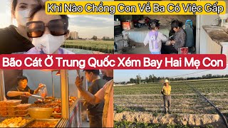 #536] Bão Cát Ở Trung Quốc Lúa Sập Hết Chạy Xe Xém Bay Luôn.Ông Nội Hỏi Khi Nào Chồng Con Về Ba Gấp