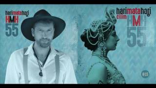 Hari Mata Hari - Zavoljeh te ludo  (Audio 2016) chords