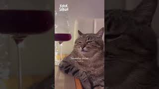 Yıkık Etiketleme Postu