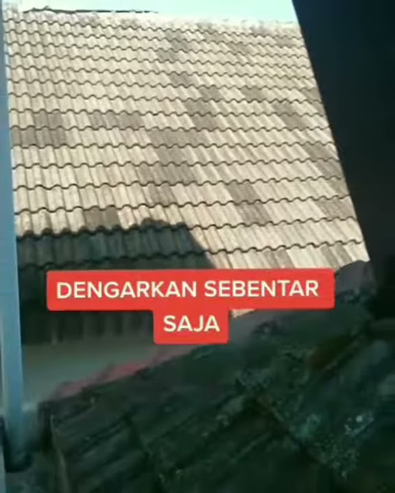 Surat Al Kahfi buat story wa