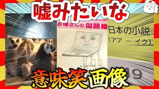 【🔥爆笑】意味が分からなくて笑える意味笑画像41連発！