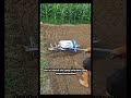 satu langkah menutup mulsa dan memasang selang drift #organicfarming #farming #automobile