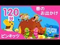 ピンキッツ5月人気曲の集め | ★120分連続再生★ | 歯磨きの歌やねるじゅんびなど生活習慣の歌の集め | ピンキッツ童謡