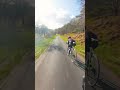 Into the Valley 🌲 | Peaceful POV Downhill Ride #cyclingshorts #bikepov #valleyride #cyclingvideos