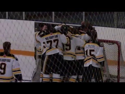 Welland Tigers OMHA Championship