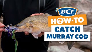 How to Catch Murray Cod