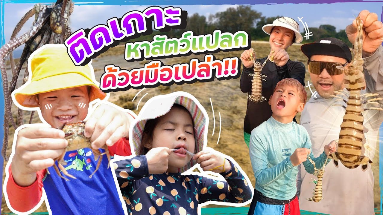ติดเกาะ 1 คืน หาสัตว์ทะเลแปลก ด้วยมือเปล่า !! | กุมารTravel EP.268