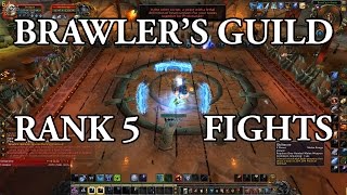 Brawler's Guild: All Rank 5 Bosses!