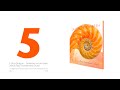 5 Sea Dragon | Jervis Bay Symphonic Suite | Graeme Hindmarsh