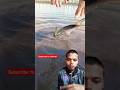 Fish Got Stuck in the Mud 😱 | Shocking Rescue #shorts