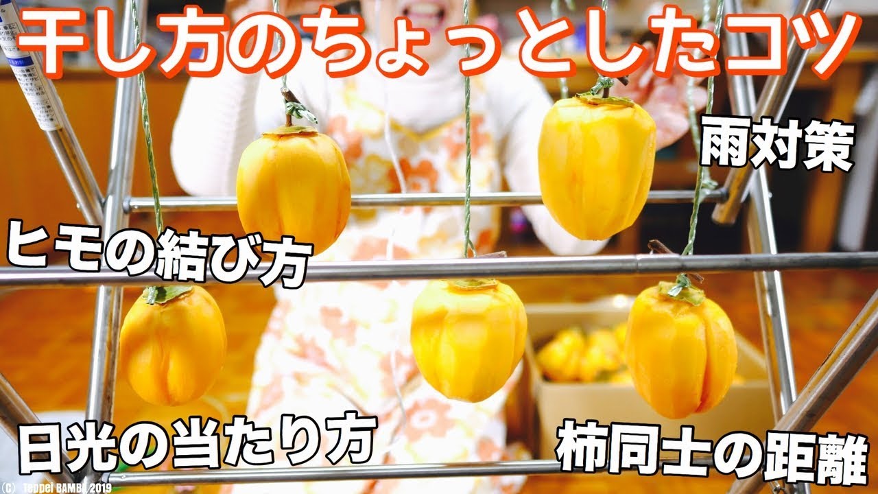 12月干し柿作り今からでも間に合う蜂屋柿新たな干し柿作り Youtube
