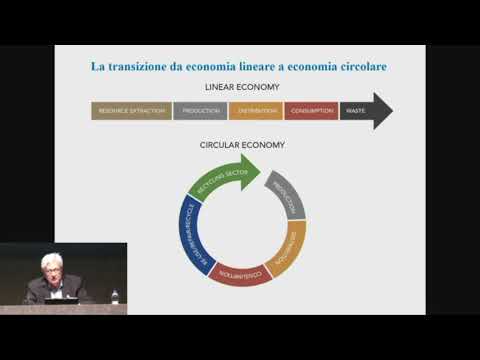 Video: Governance Della Sostenibilità Della Bioeconomia Danese: Il Caso Della Bioenergia E Dei Biomateriali Agricoli