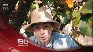 Trinity College Lismore Year 12 Graduation Video 2017 ( un-cut version )