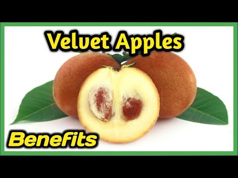 6 Amazing Health Benefits of Velvet Apples You should know That