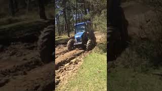 Newholland Td75D Ormanda Ağaç Çekiyor